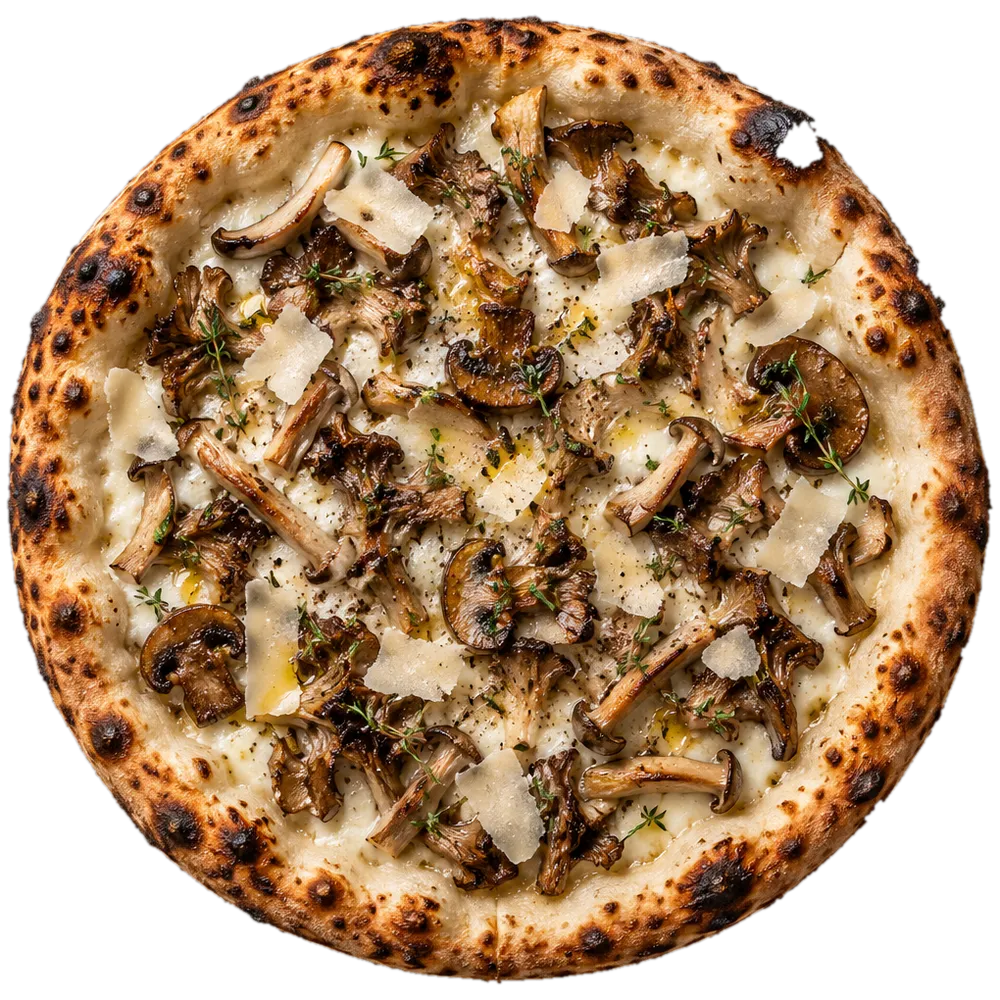 Funghi bianca sett ovenfra
